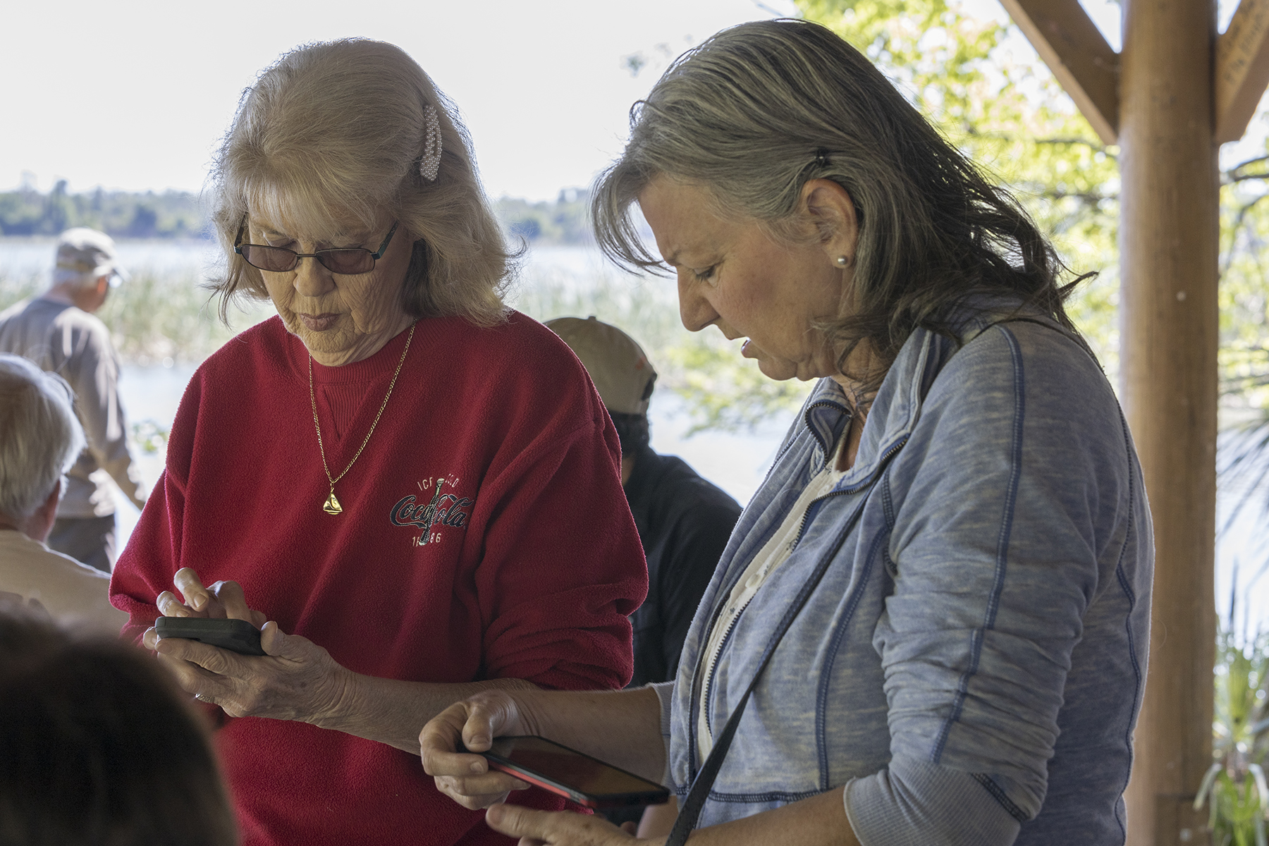 Scenes From The Larc Spring Picnic Lakeland Amateur Radio Club Blog